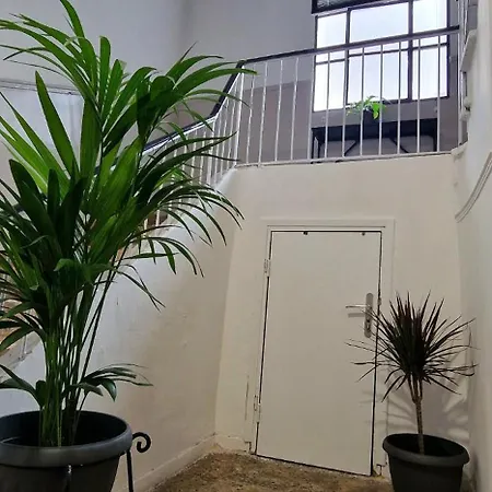 Stylish Olive Tree Garden In Ano Poli Apartamento *