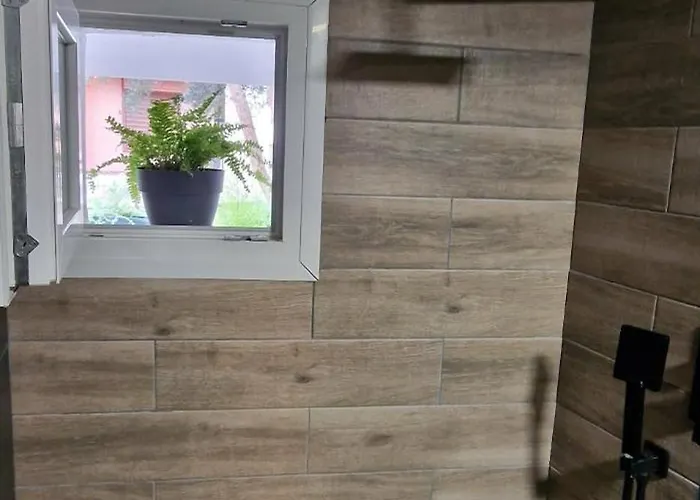 Stylish Olive Tree Garden In Ano Poli *