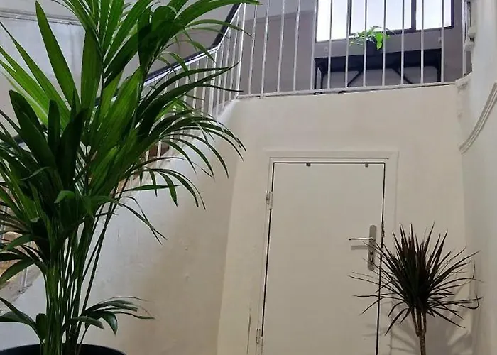 Stylish Olive Tree Garden In Ano Poli شقة *
