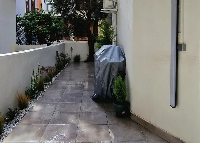 Stylish Olive Tree Garden In Ano Poli سالونيك
