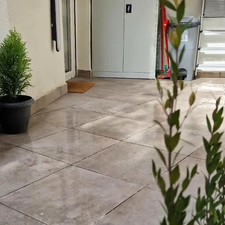 Stylish Olive Tree Garden In Ano Poli 아파트 *
