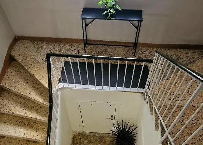 Stylish Olive Tree Garden In Ano Poli *